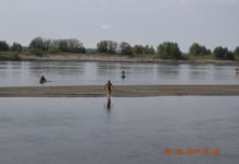 Avram Iancu, bibliotecarul de 41 de ani din Petroşani a ajuns și la Corabia