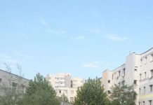 Nesimțirea și actele de vandalism la ele acasă în Slatina