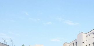 Nesimțirea și actele de vandalism la ele acasă în Slatina