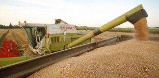 CJ Olt, anunță prețurile medii ale produselor agricole pentru anul 2026