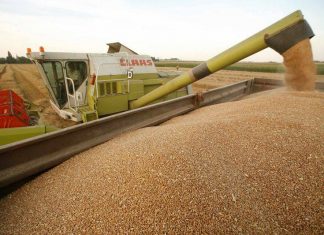 S-a adoptat OUG pentru importurile de cereale din Ucraina