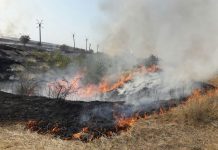 Incendiile de vegetație uscată, o problemă la Olt