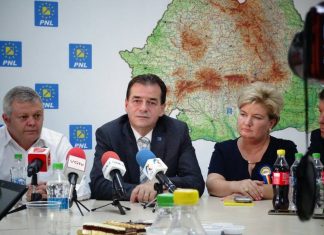 Liberalii nu susţin schimbarea denumirii judeţului