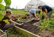Ultima strigare pentru agricultorii olteni