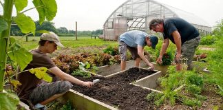 Ultima strigare pentru agricultorii olteni