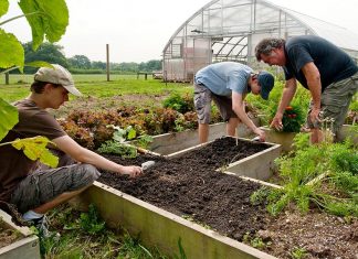 Ultima strigare pentru agricultorii olteni
