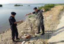 Polițiștii olteni, cu ochii pe tăierile ilegale de arbori din păduri și pe braconajul piscicol