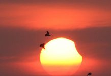 Eclipsă parțială de Soare pe 25 octombrie