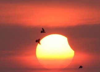 ECLIPSĂ totală de Soare pe 21 august