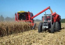 Fermierii olteni pot accesa credite de la nouă bănci