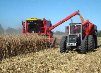 Fermierii olteni pot accesa credite de la nouă bănci