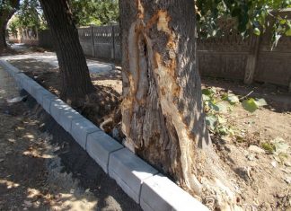 Imagini revoltătoare în Corabia