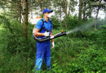 Primăria Balș dă startul acțiunilor de dezinsecție pe raza orașului