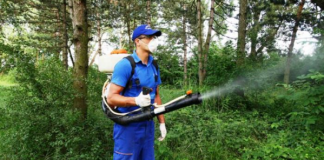 O nouă acțiune de dezinsecție la Slatina