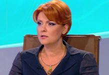Olguța Vasilescu dezvăluie o informație HALUCINANTĂ: rapița și grâul au blocat drumul expres Pitești- Slatina-Craiova
