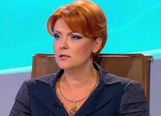 Olguța Vasilescu dezvăluie o informație HALUCINANTĂ: rapița și grâul au blocat drumul expres Pitești- Slatina-Craiova