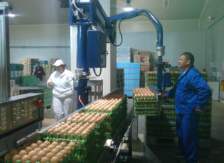 Ouă fără Fipronil la Olt