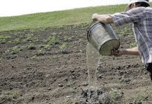 Primarii se plâng de lipsa sistemului de irigații