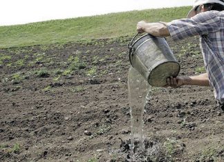 Primarii se plâng de lipsa sistemului de irigații