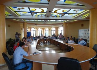 Vera Georgeta Rachină şi Ilie Vasile, noii consilieri locali ai Slatinei