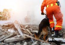 A apărut Ghidul cetăţeanului pentru situaţii de urgenţă