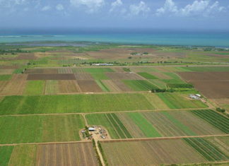Niciun fermier din Olt nu mai poate vinde terenuri agricole