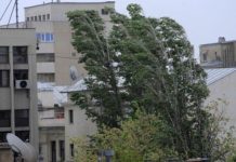 Oltul, sub cod galben de vânt