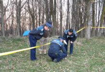 Jurnalist devorat de animale într-o pădure din județ