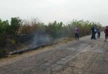 Bărbat decedat într-un incendiu de vegetație uscată