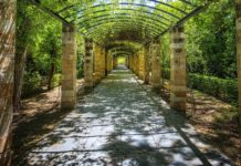 Slatina își schimbă… „look-ul”!