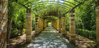 Slatina își schimbă… „look-ul”!