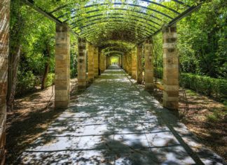 Slatina își schimbă… „look-ul”!