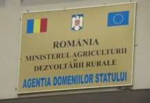 Societăţi din Olt, război în instanţă cu Agenţia Domeniilor Statului. Vezi care sunt acestea şi motivul disputei