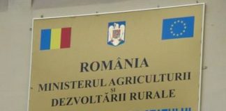 Societăţi din Olt, război în instanţă cu Agenţia Domeniilor Statului. Vezi care sunt acestea şi motivul disputei