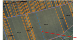 Sute de terenuri și imobile din județ vândute de la începutul anului