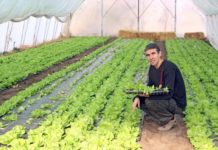 Îndemnați să investească în gricultură