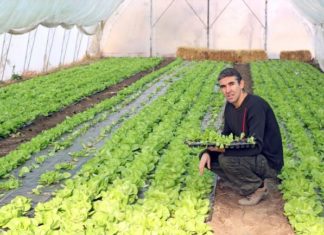 Îndemnați să investească în gricultură