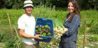 Mii de euro atrași de agricultori la Tia Marte