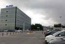 Alro sprijină o importantă pictoriță din România