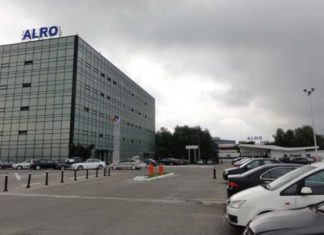 Alro sprijină o importantă pictoriță din România