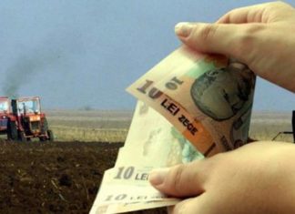 APIA Olt începe plățile de la jumătatea acestei luni