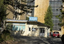 Cele mai profitabile zece companii din domeniul agricol din Olt au câştigat aproape 230 miliarde de lei. Zahăr Corabia conduce topul