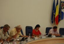 Cornelia Sulger, membru în Comitetul de reglementare al ANRE