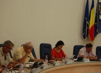 Cornelia Sulger, membru în Comitetul de reglementare al ANRE