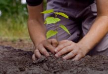 1,564 miliarde de euro, pentru fermierii români