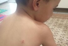 Educatoarea de la Grădinița din satul Cucuieți nu va fi sancționată