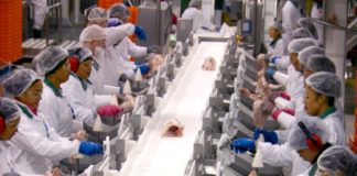 Marea Britanie angajează operatori procesare carne din Olt