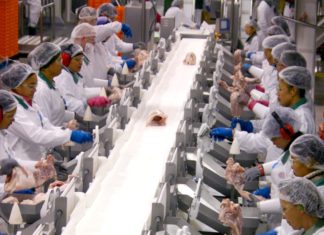 Marea Britanie angajează operatori procesare carne din Olt