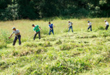 Patroni din Olt care folosesc zilieri, sancţionaţi de ITM