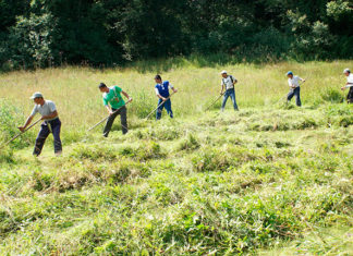 Patroni din Olt care folosesc zilieri, sancţionaţi de ITM